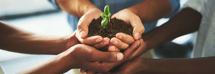 5 Dos and Don’ts of Sustainable IT Sourcing and Vendor Selection